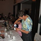 Plenar Ystad 071