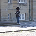 100 3155